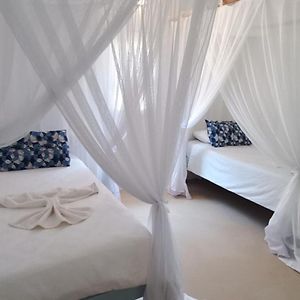Superior Familie Kamer met Twee Aparte Bedden